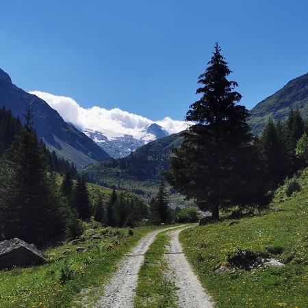 Lebenslauf von Marion Fischer